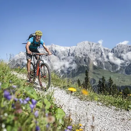 住宿加早餐酒店 Schnaitl 玛丽亚埃姆安斯泰内嫩米尔
